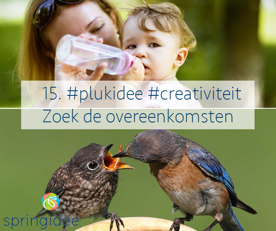 Plukidee 15 voor oneindige creativiteit: zoek de overeenkomsten