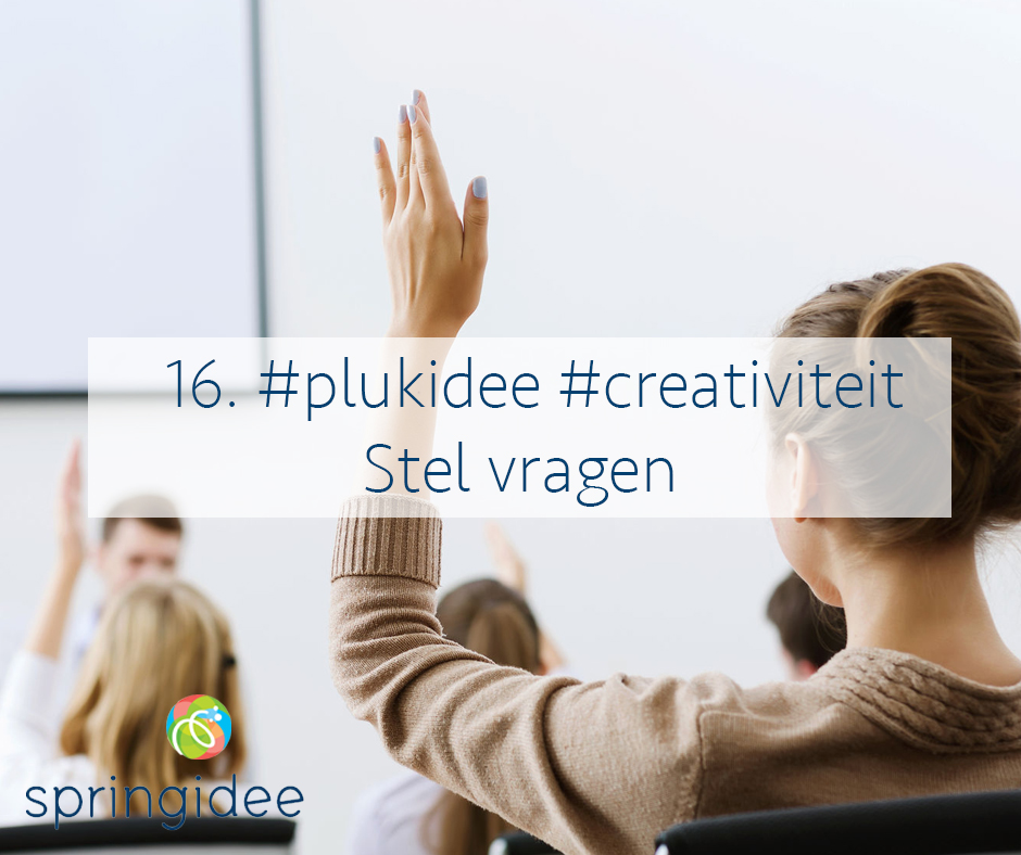 Plukidee 16 voor oneindige creativiteit: stel vragen