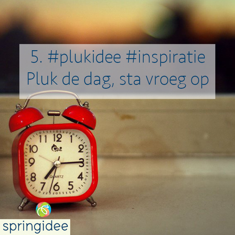 Plukidee 5: Pluk de dag, sta vroeg op