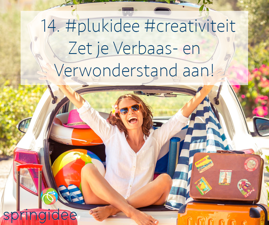 Plukidee 14 voor oneindige creativiteit: zet je verbaas en verwonder stand aan