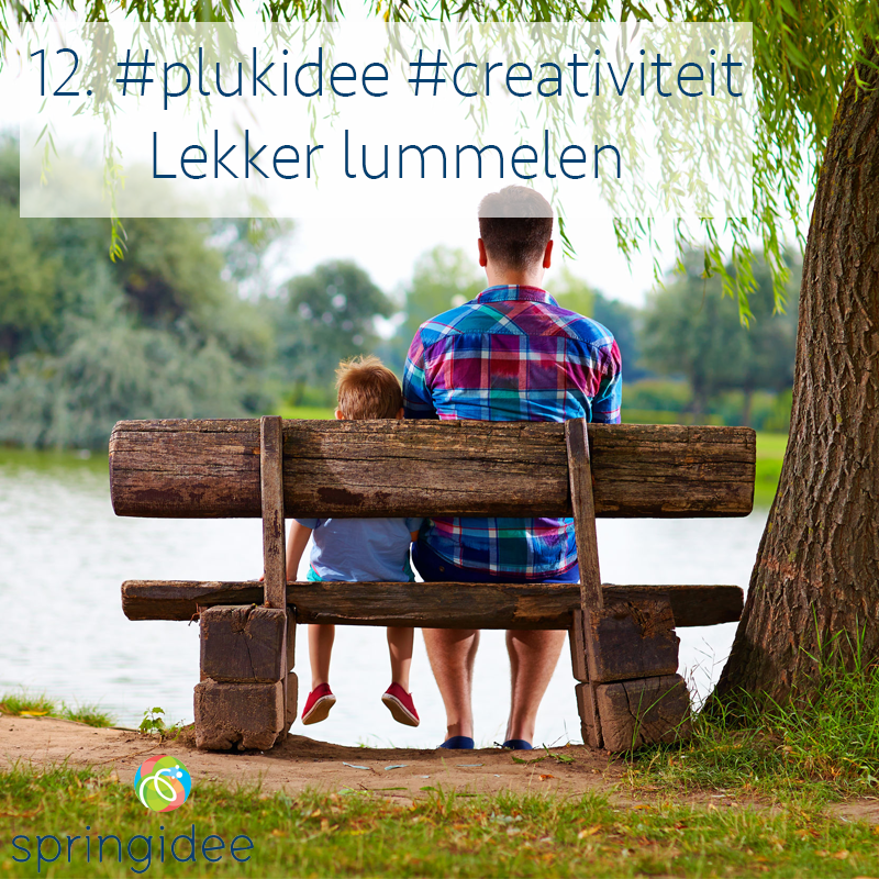 Plukidee 12 voor oneindige creativiteit: Lekker lummelen